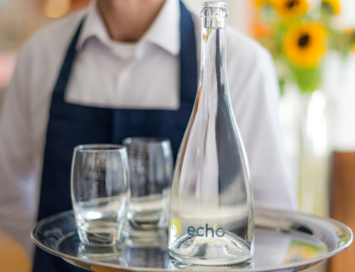 Premium service from Echo Water